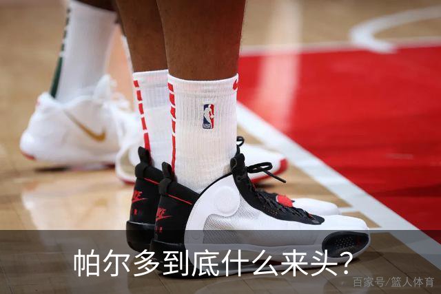帕尔多到底什么来头？
