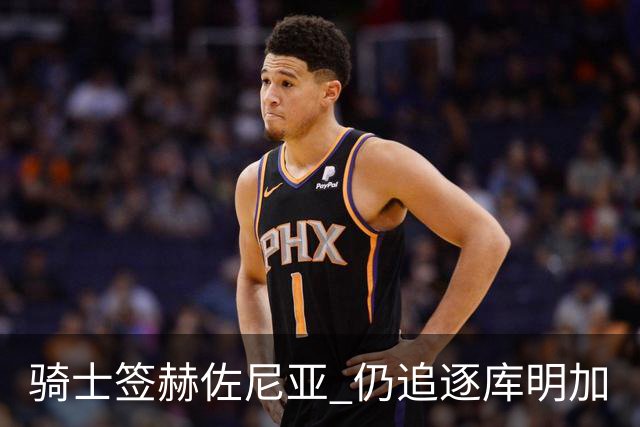 骑士签赫佐尼亚 仍追逐库明加